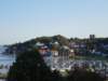 dsc00562_small.jpg